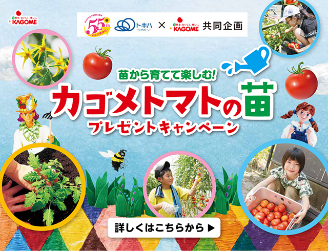 カゴメ トマトの苗プレゼントキャンペーン