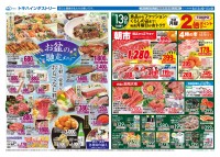 page 1 thumbnail