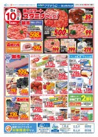 page 1 thumbnail