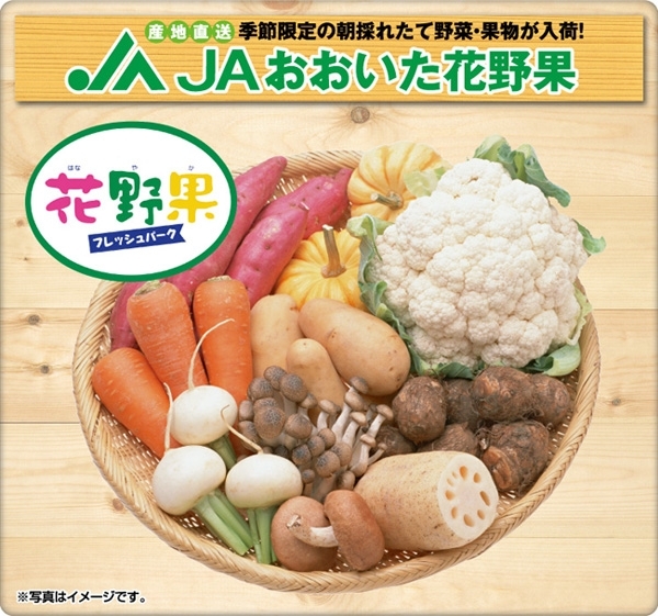 ＜産直＞JAおおいた　花野果